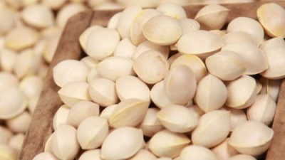 놓치면 후회! 피은행 솔직 후기 & 꿀팁🍯