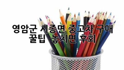 영암군 시종면 중고차 구매 꿀팁 🚗💨 놓치면 후회!