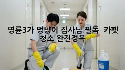 명륜3가 멍냥이 집사님 필독! 🐾 카펫 청소 완전정복 ✨