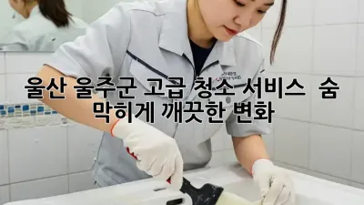 울산 울주군 고급 청소 서비스 ✨ 숨 막히게 깨끗한 변화!
